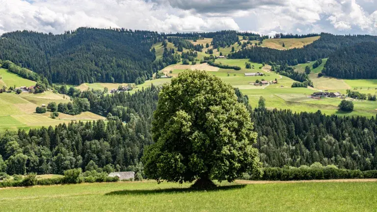 Einzugsgebiet der WVO Quellen