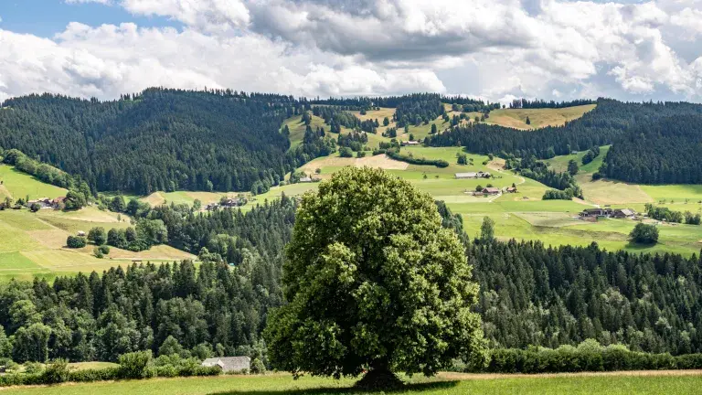 Einzugsgebiet Quellen WVO