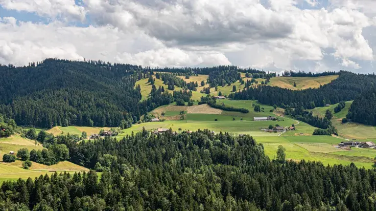 Blick ins Einzugsgebiet der WVO Quellen