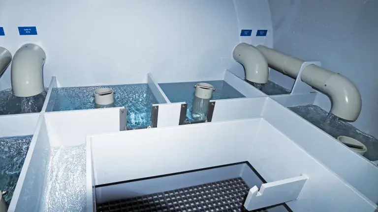 Quellenzufluss Sammelbrunnstube Kilchmatt Quellenzufluss Sammelbrunnstube Kilchmatt